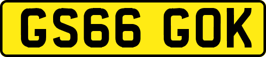 GS66GOK