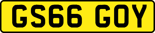 GS66GOY