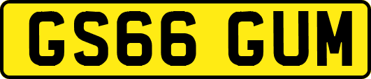GS66GUM