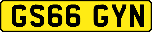 GS66GYN