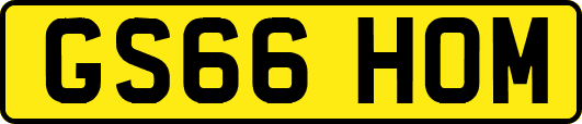 GS66HOM