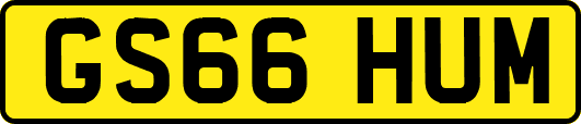 GS66HUM