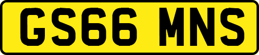 GS66MNS