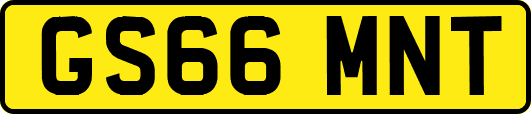 GS66MNT
