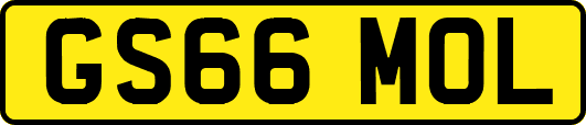 GS66MOL
