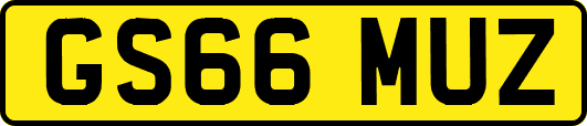 GS66MUZ