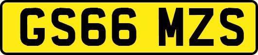 GS66MZS