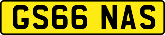 GS66NAS