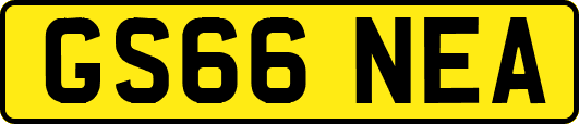 GS66NEA