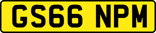 GS66NPM