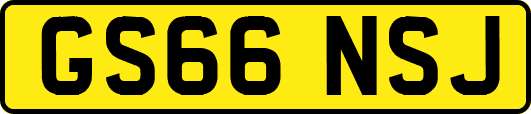 GS66NSJ