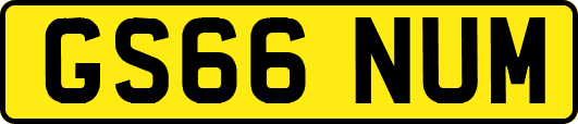 GS66NUM