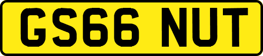 GS66NUT