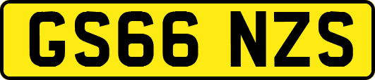 GS66NZS