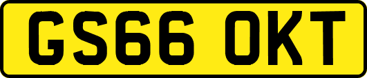 GS66OKT