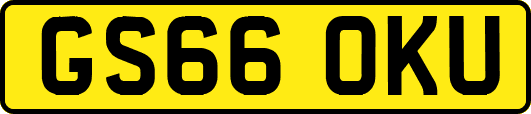 GS66OKU