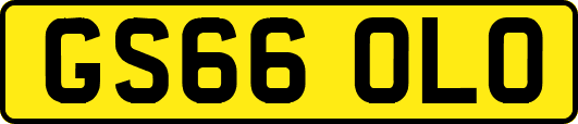 GS66OLO