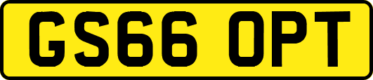 GS66OPT