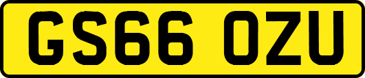 GS66OZU