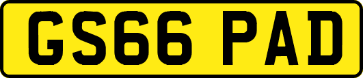 GS66PAD