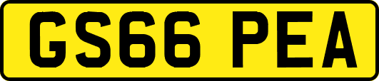 GS66PEA