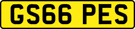 GS66PES