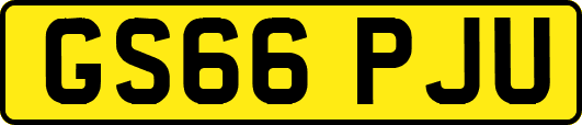GS66PJU
