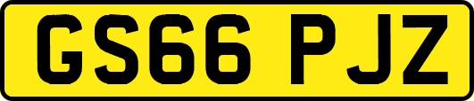 GS66PJZ