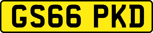 GS66PKD