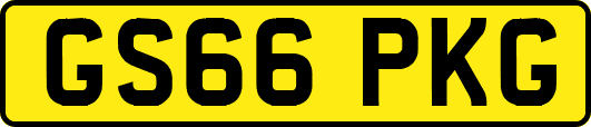 GS66PKG