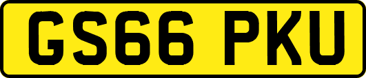 GS66PKU