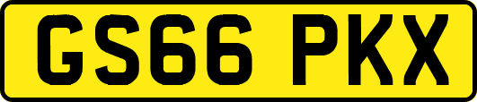 GS66PKX
