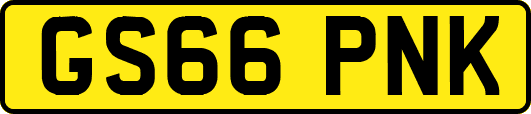 GS66PNK