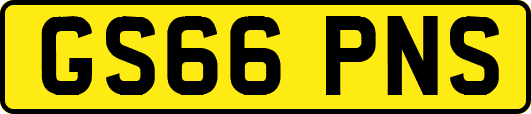 GS66PNS