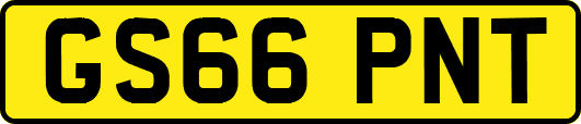 GS66PNT
