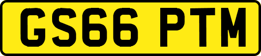 GS66PTM