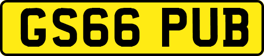 GS66PUB