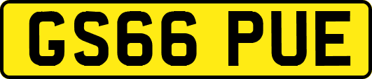 GS66PUE