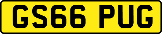 GS66PUG