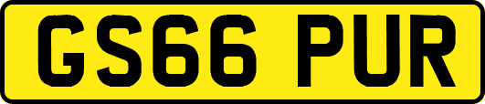 GS66PUR
