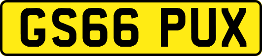 GS66PUX