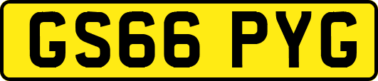 GS66PYG