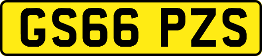 GS66PZS