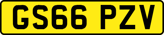 GS66PZV