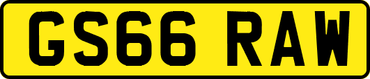 GS66RAW