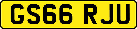 GS66RJU