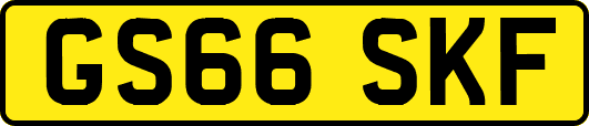 GS66SKF