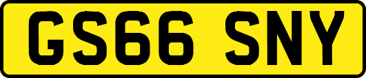 GS66SNY