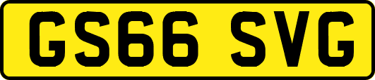 GS66SVG