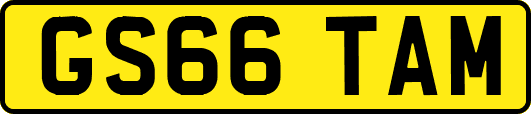 GS66TAM